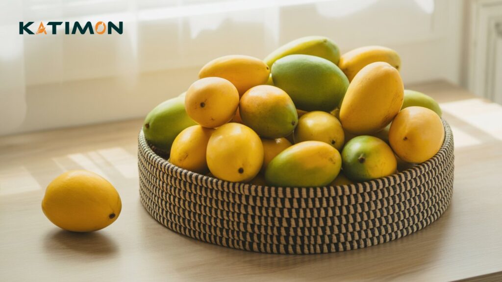 katimon কাটিমন